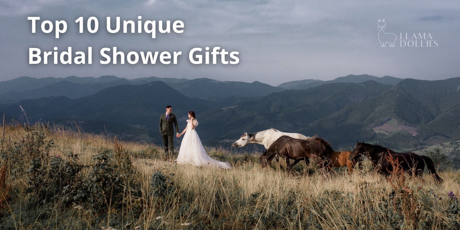 Group Bridal Shower Gift Ideas | GiftCrowd